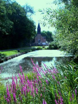 Grosbois les tichey-21