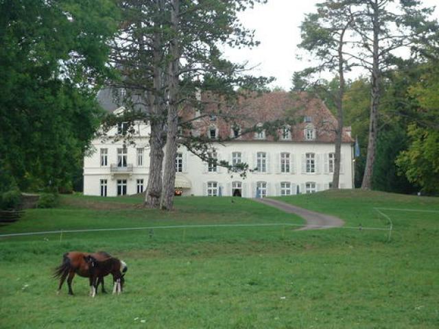 parc du château de Malaisy (Côte-d'Or)