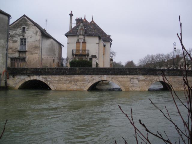 l'Ignon à l'Is sur Tille, Côte d'Or, France