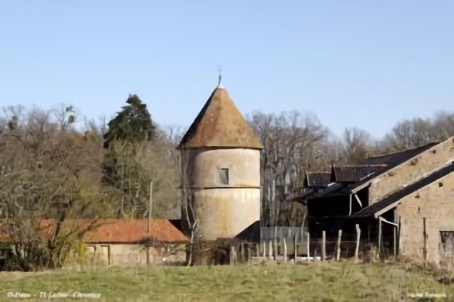 21 Lacour-d'Arcenay - Pigeonnier