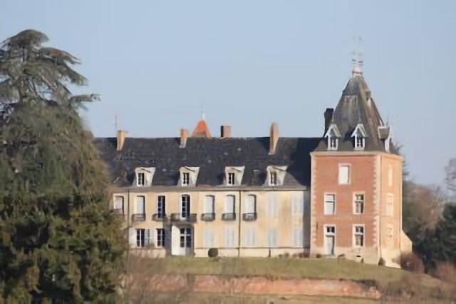 CHATEAU D'AUVILLARS SUR SAONE