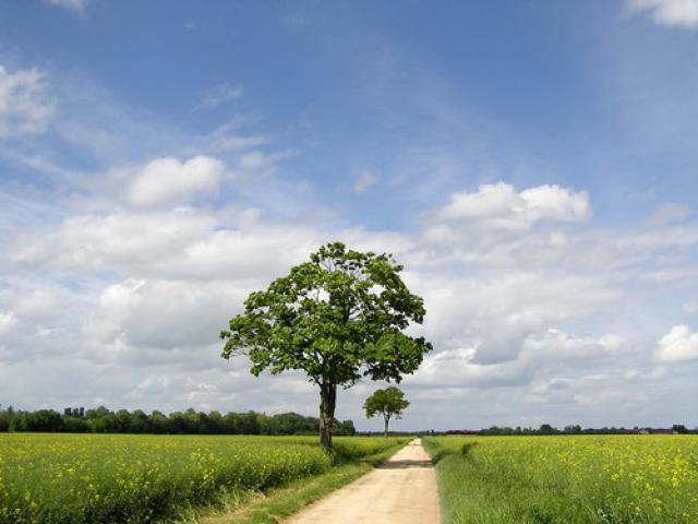 Campagne