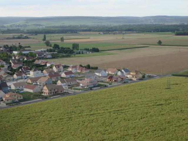 Vignoles