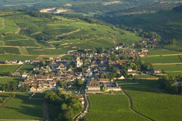 Pommard from Above