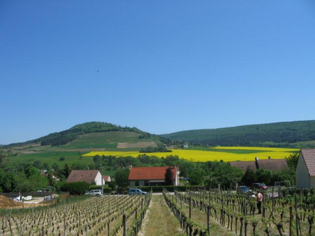 La grand-vigne
