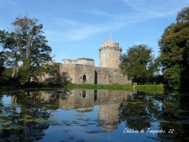 Château de Tonquedec - 22