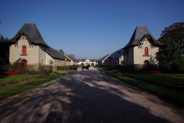 Lamballe in der Bretagne, Frankreich. Blick in das Gestüt in Lamballe (geotags in den EXIF-Daten).
