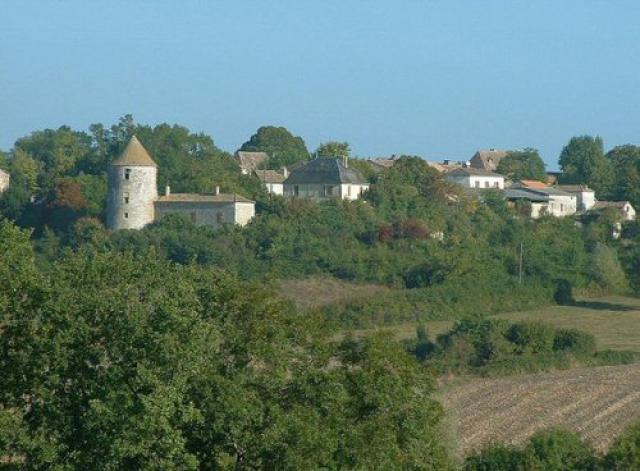 Boisse