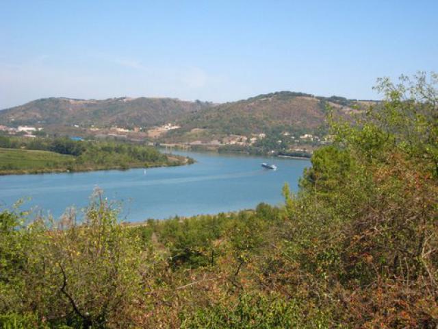 vue sur le Rhône (rs)