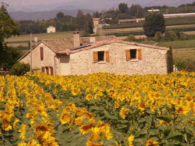 Les Peyrelles à Montoison - Drôme