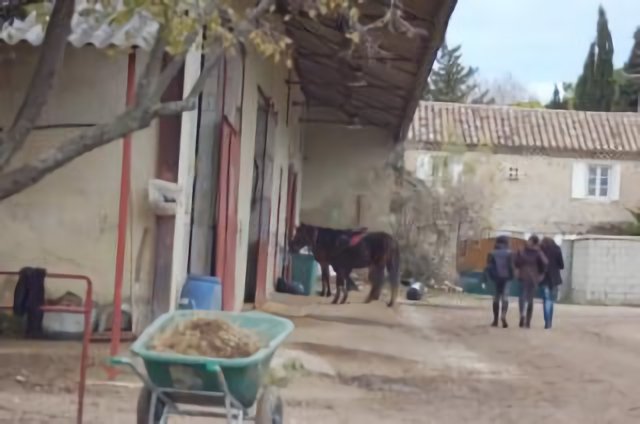 PONEY CLUB LES JONQUIERES