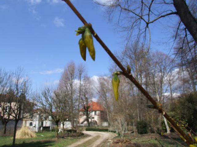 Le Moulin
