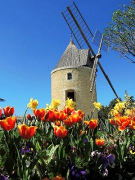 Moulin de Pierrelatte ( Pèirolato )