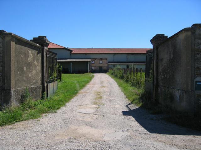 Boerderij