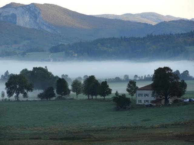 Fog