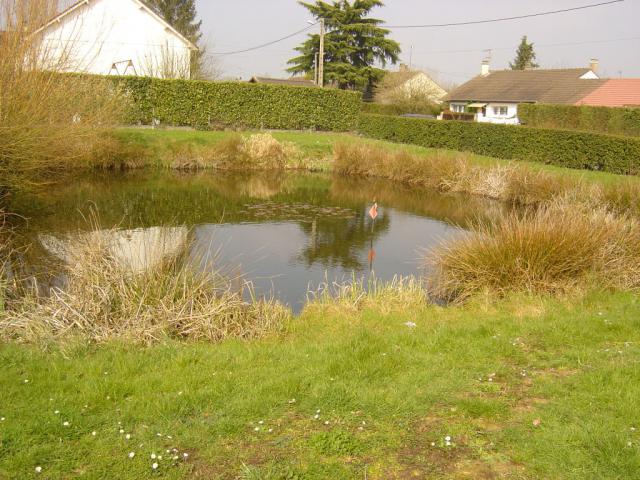 Mare de la Pommeraie -Guichainville (27 Eure France -Normandie)